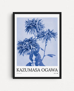 Flowers Blue - Chrysanthemums, Ogawa Kazumasa