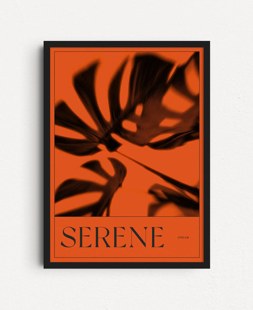 Serene Dream Orange